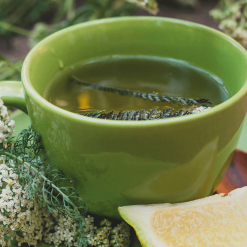 Yarrow Herb Tea