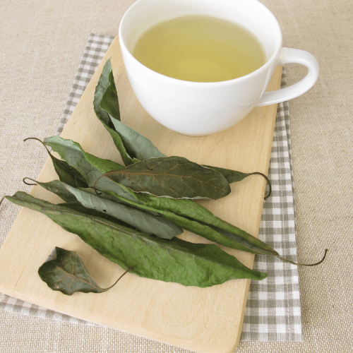 Avocado Leaves Tea