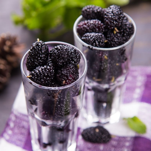 Black Mulberry Frozen
